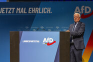 AfD-Parteitag in Baden-Württemberg: Frohnmaier und Sänze bleiben AfD-Chefs 
