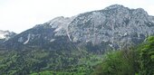 Nach Reform des Jagdgesetzes: Zehn Reviere im Berchtesgadener Land verzichten auf Rehwildabschussplan