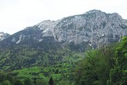 Nach Reform des Jagdgesetzes: Zehn Reviere im Berchtesgadener Land verzichten auf Rehwildabschussplan
