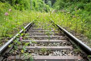 Reaktivierung alter Bahnstrecken nimmt Fahrt auf