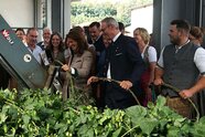 Klimawandel dreht Hopfen den Wasserhahn ab 