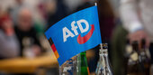 Neue Umfrage: Vorsprung der AfD so groß wie noch nie