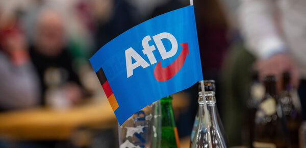 Neue Umfrage: Vorsprung der AfD so groß wie noch nie