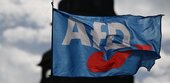 Umfrage: Viele Deutsche gegen AfD-Regierung mit anderen Parteien 