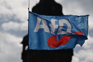 Umfrage: Viele Deutsche gegen AfD-Regierung mit anderen Parteien 