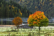 Herbstliche Erlebnisse