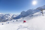 Im Sommer von einem Skitag träumen