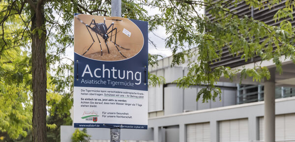 Asiatische Tigermücke breitet sich aus – Ministerin rät zu Vorsorge