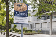 Asiatische Tigermücke breitet sich aus – Ministerin rät zu Vorsorge
