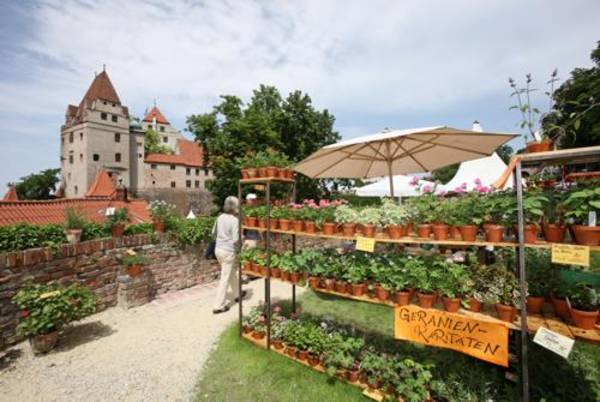 Pflanzen Gartenaccessoires Und Kunsthandwerk