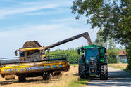 Ernte in Bayern: Getreide minus 13 Prozent, auch Hopfen und Wein schwach