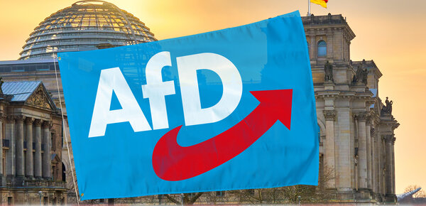 Trendumkehr? AfD verliert in mehreren Umfragen an Zustimmung