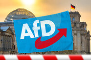 Trendumkehr? AfD verliert in mehreren Umfragen an Zustimmung