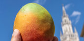 München: Mango-Koalition startet mit Sparzwang, aber Einigkeit