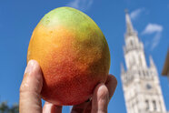 München: Mango-Koalition startet mit Sparzwang, aber Einigkeit