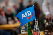 Erneuter Umfrageschock für die Union – AfD teils über 30 Prozent