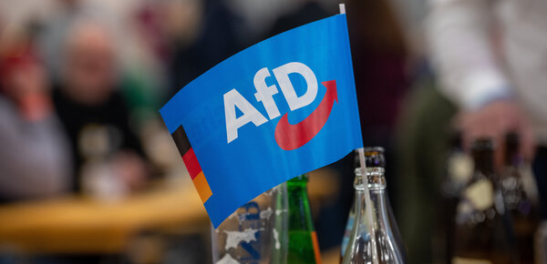 Erneuter Umfrageschock für die Union – AfD teils über 30 Prozent