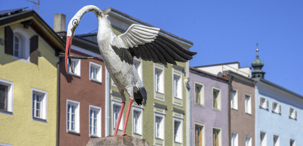 Tittmoning: AfD-Kulturreferent nach Protesten wieder abgesetzt