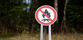 Waldbrandgefahr steigt verbreitet auf zweithöchste Stufe