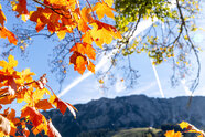 Typisch Herbst: Nebel, ein wenig Sonne - und dann Regen 