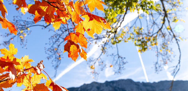 Typisch Herbst: Nebel, ein wenig Sonne - und dann Regen 