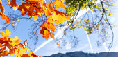 Typisch Herbst: Nebel, ein wenig Sonne - und dann Regen 
