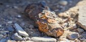 Niedrigwasser bringt in Niederbayern Weltkriegsmunition zum Vorschein