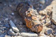 Niedrigwasser bringt in Niederbayern Weltkriegsmunition zum Vorschein