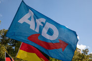 Umfrage: AfD kann nicht von Wahlsieg in Sachsen-Anhalt profitieren