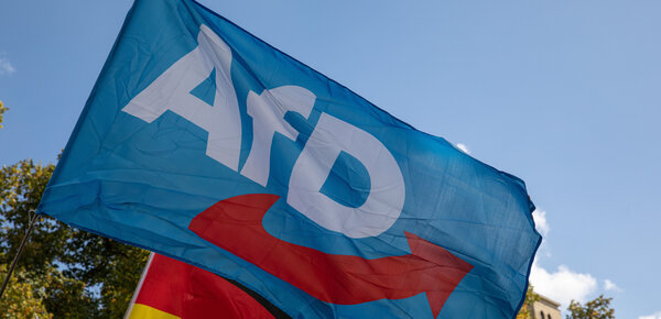 Umfrage: AfD kann nicht von Wahlsieg in Sachsen-Anhalt profitieren