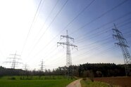Übertragungsnetzbetreiber Tennet will viel Wald für neue Leitungen roden