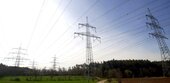 Übertragungsnetzbetreiber Tennet will viel Wald für neue Leitungen roden