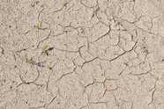 Analyse: Klimawandel macht Hitzewelle in Westeuropa bis zu 4 Grad heißer