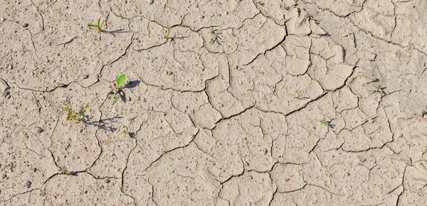 Analyse: Klimawandel macht Hitzewelle in Westeuropa bis zu 4 Grad heißer