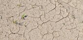 Analyse: Klimawandel macht Hitzewelle in Westeuropa bis zu 4 Grad heißer