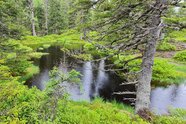 Wasser, Wege und wilde Natur