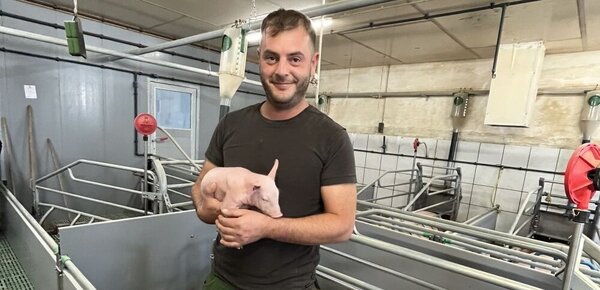 Dieser Landwirt könnte bald bester Schweinehalter Deutschlands sein