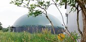 Der Bund ist am Zug: Trotz explodierender Gaspreise wird heimisches Biomethan kaum genutzt