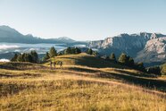 Wandern und Mountainbiken mit Weitblick
