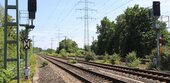 Bahn setzt wieder auf Glyphosat gegen Wildwuchs im Gleis