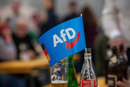 Forscher über Umfragehoch der AfD: Offenheit für die Partei wächst trotz mehr Radikalität