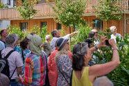 Architektur im Wandel der Gesellschaft 