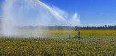 Rekord-Trockenheit! Welche Folgen das für Bayern hat