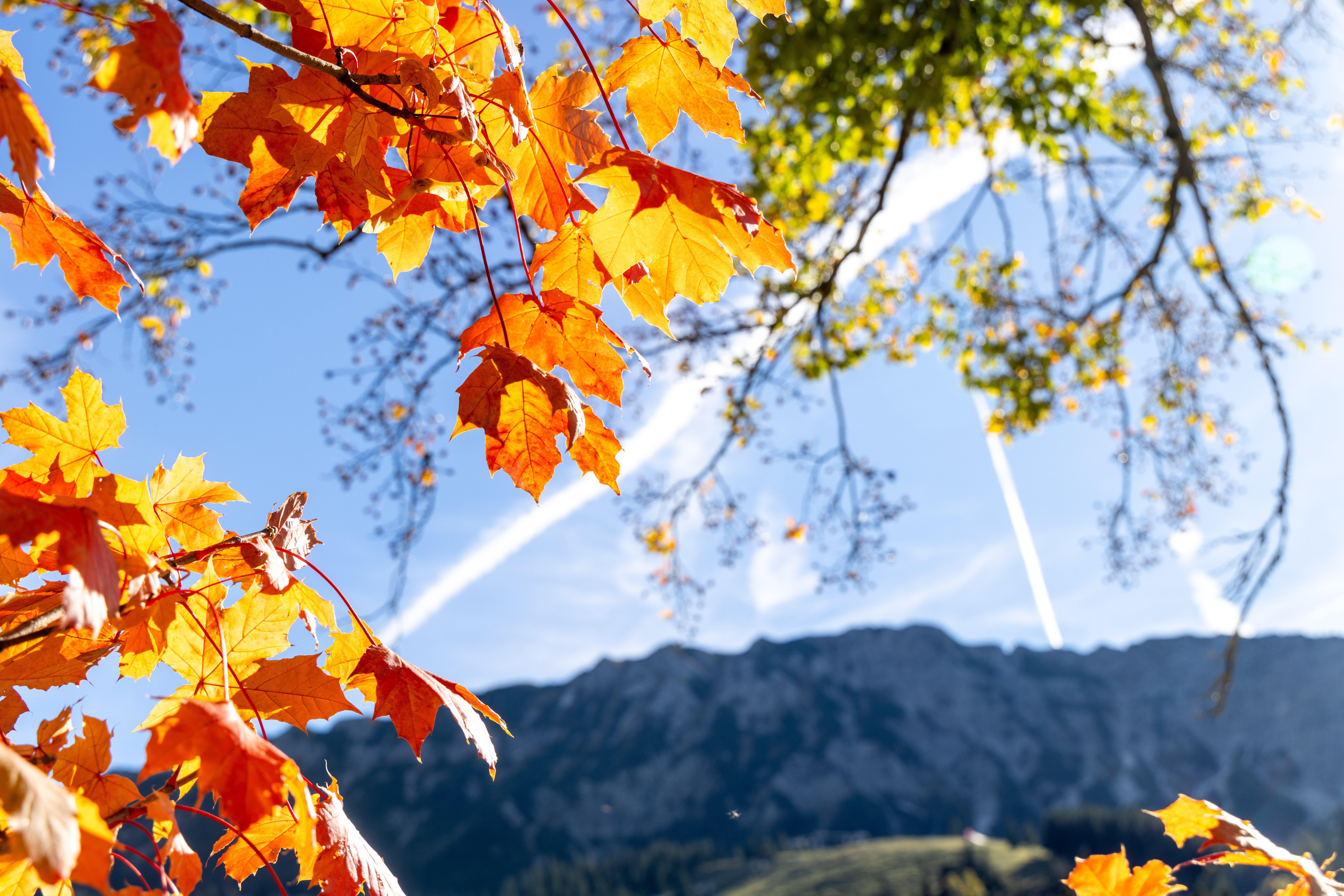 Typisch Herbst: Nebel, ein wenig Sonne - und dann Regen 