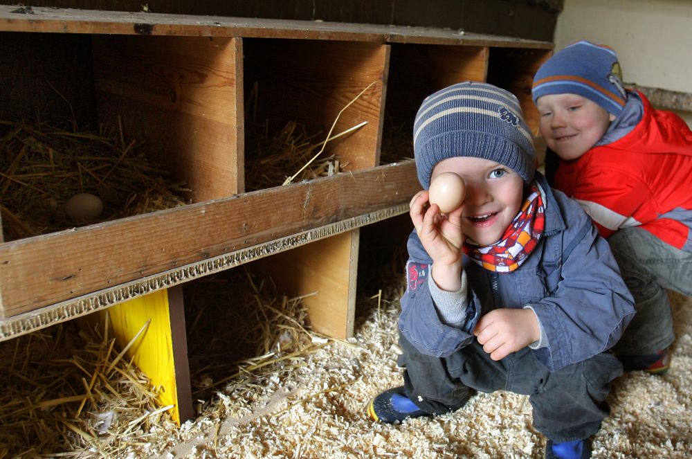  Der Bauernhof-Kindergarten Motiv 