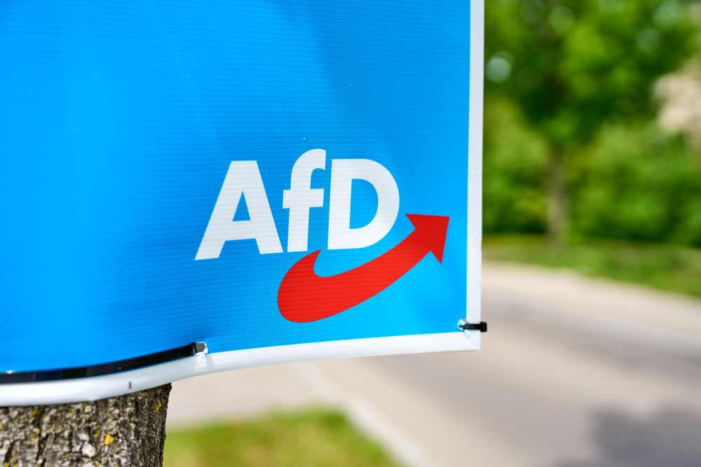Querelen in Bayern-AfD – Abwahlantrag gegen Vorstände